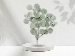 Eucalyptus